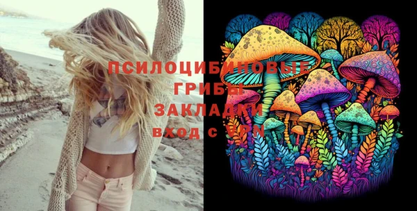 ПСИЛОЦИБИНОВЫЕ ГРИБЫ Алексеевка