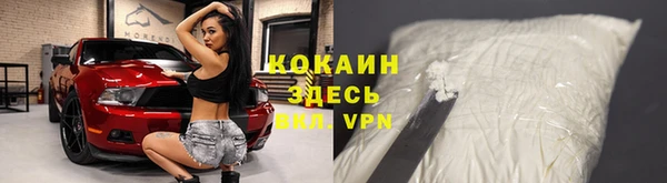 дурь Алзамай