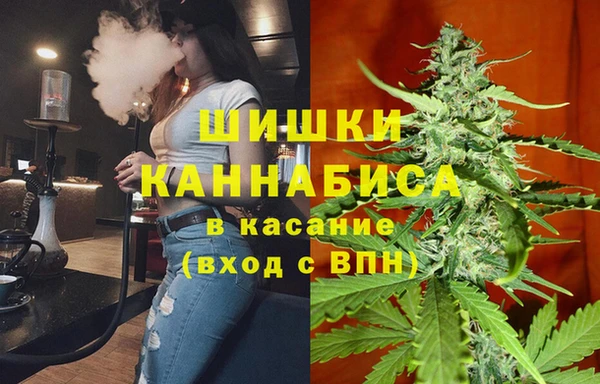 ПСИЛОЦИБИНОВЫЕ ГРИБЫ Алексеевка