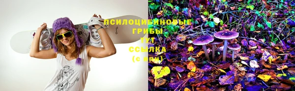 дурь Алзамай