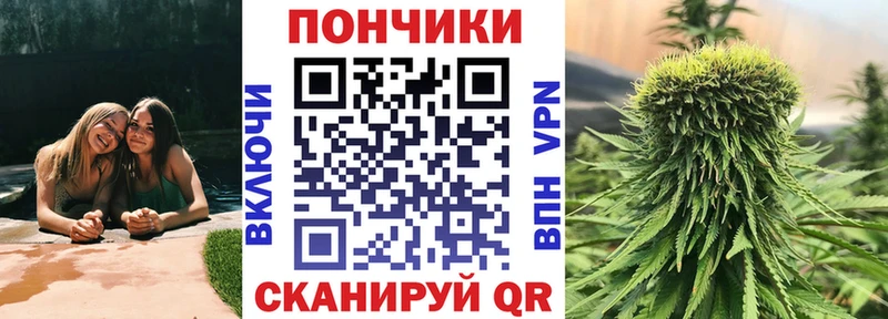 где купить наркоту Щигры Марихуана OG Kush